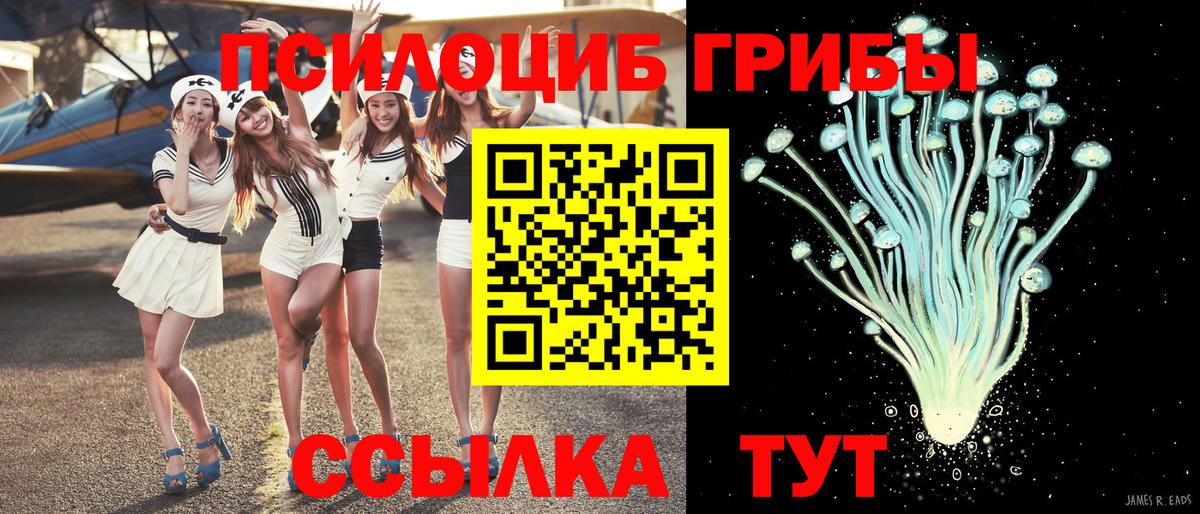 Галлюциногенные грибы Magic Shrooms  Вход с VPN  Пушкино 