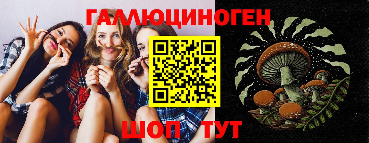 Галлюциногенные грибы Cubensis Пушкино